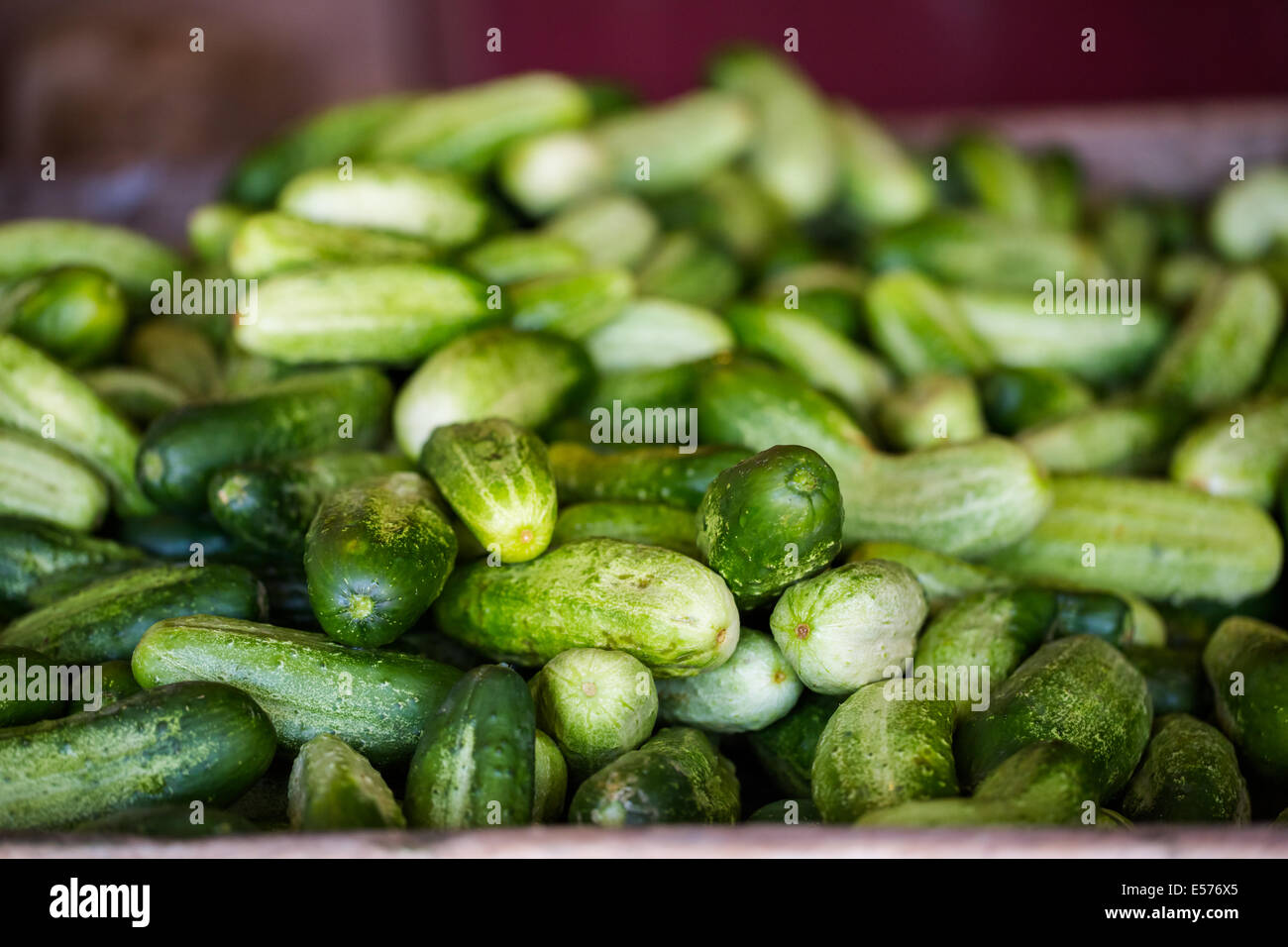 Fresh organic produce for sale on local farmers market Stock Photo - Alamy