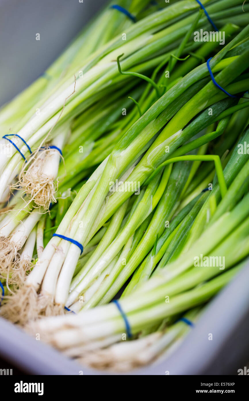Fresh organic produce for sale on local farmers market Stock Photo - Alamy