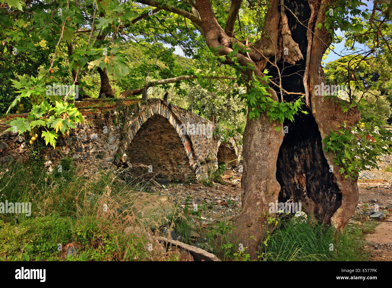The old stone arched bridge of Agios Georgios, close to Gomati village, Municipality of Aristotle, Halkidiki, Macedonia, Greece. Stock Photo