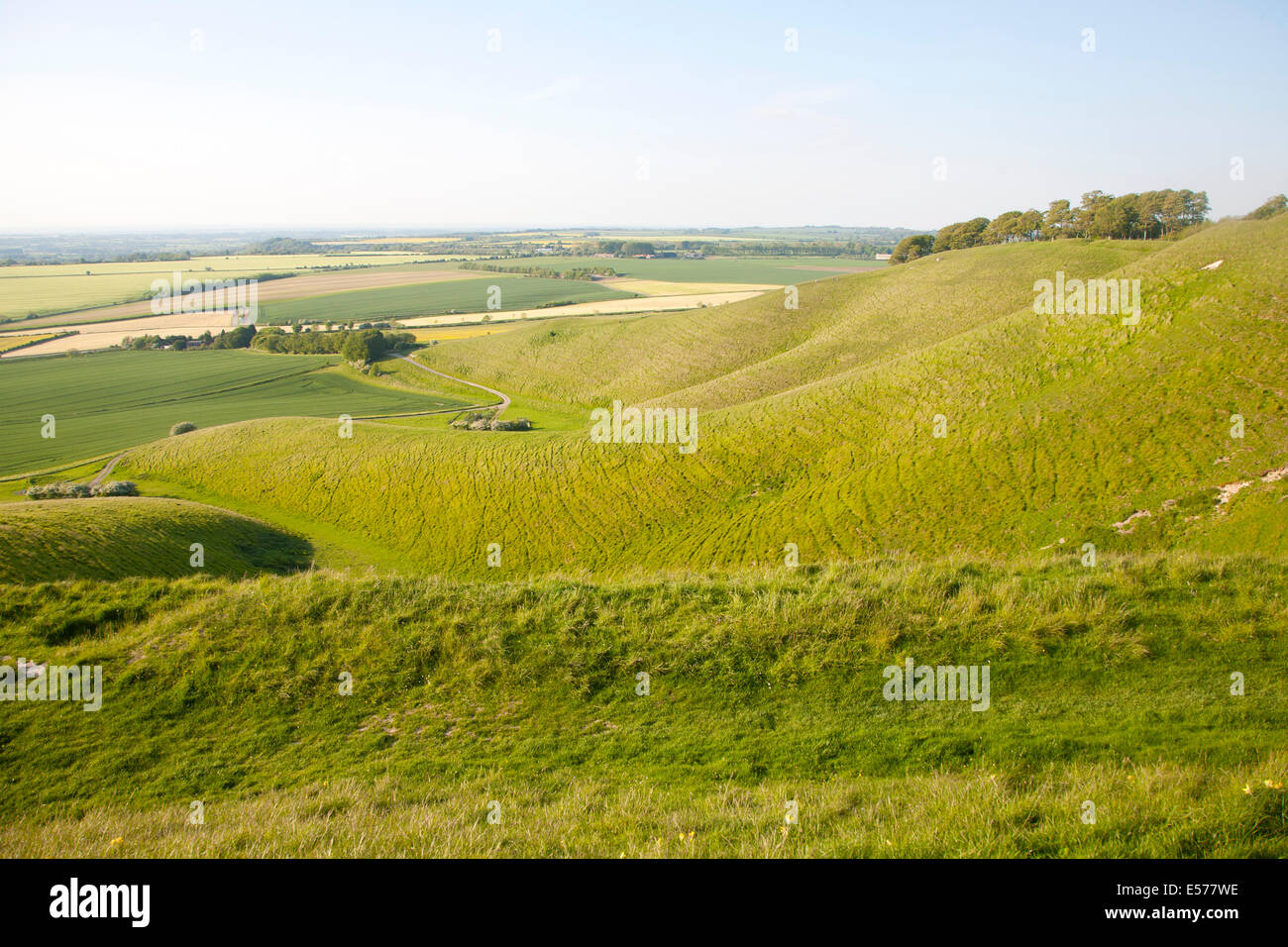 Summer view of arable fields and chalk landscape from Cherhill Down escarpment, Wiltshire, England Stock Photo
