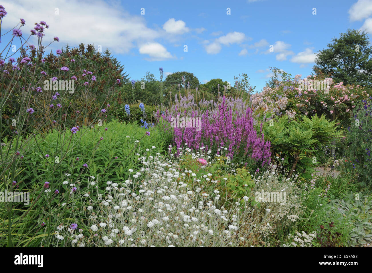 A traditional English cottage garden at Rosemoor, near Torrington, Devon, South West England, UK, photraphed in summer. Stock Photo