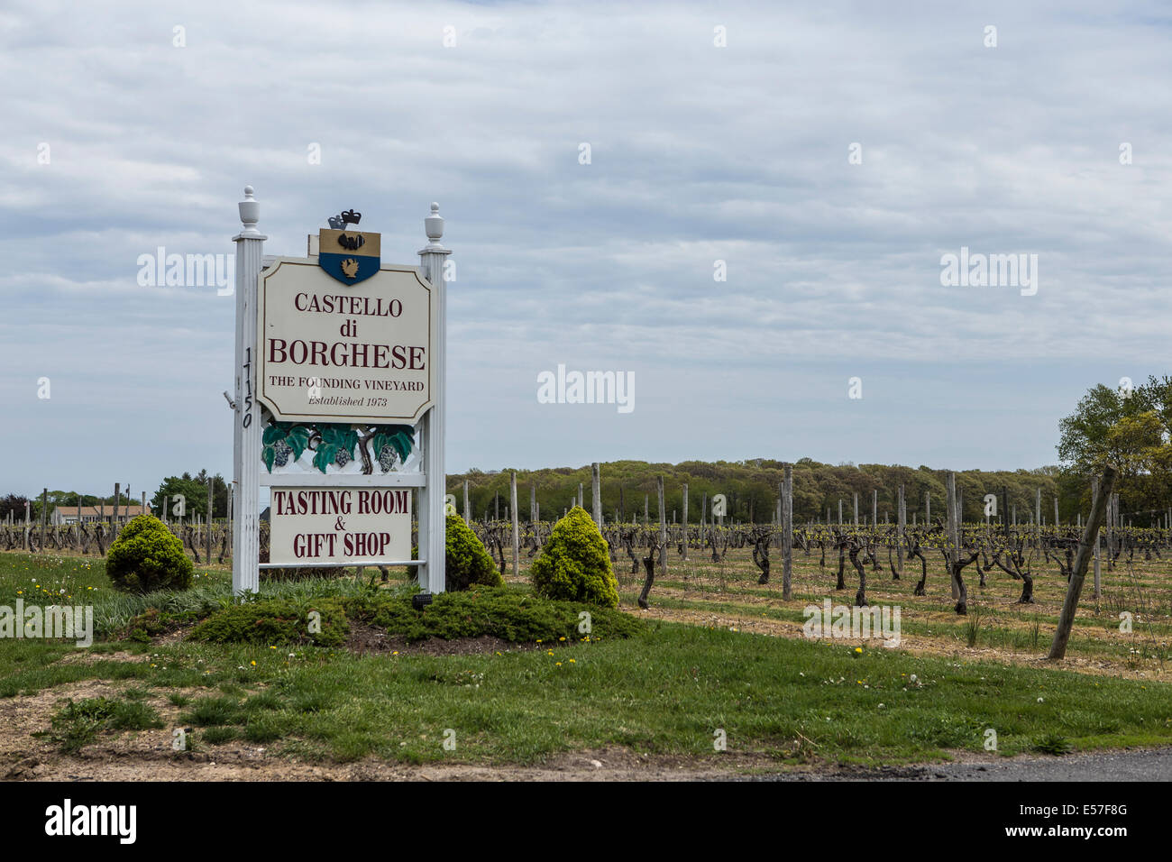 The Castello di vineyard is pictured in Cutchogue, New York