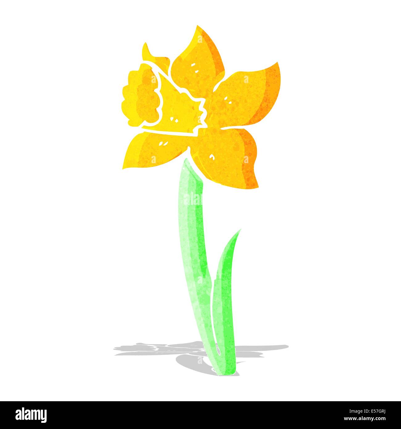 Cartoon daffodil hires stock photography and images Alamy