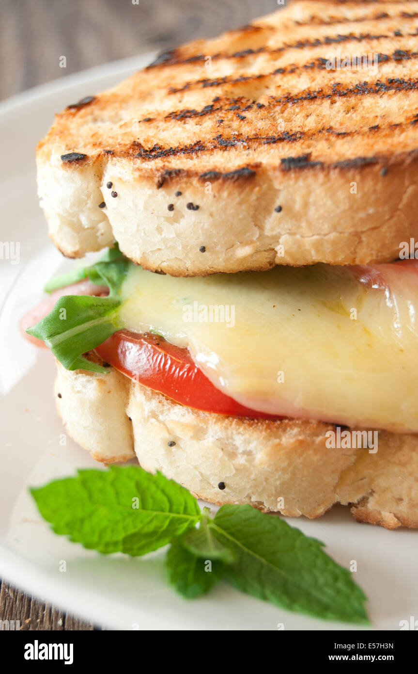 Grilled cheese sandwich Stock Photo Alamy