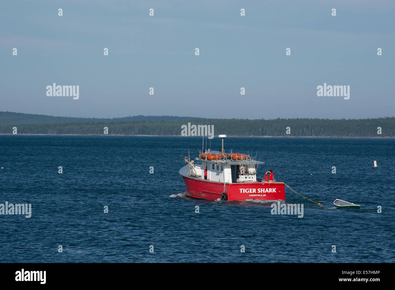 Shark Fishing Us United States High Resolution Stock Photography And 