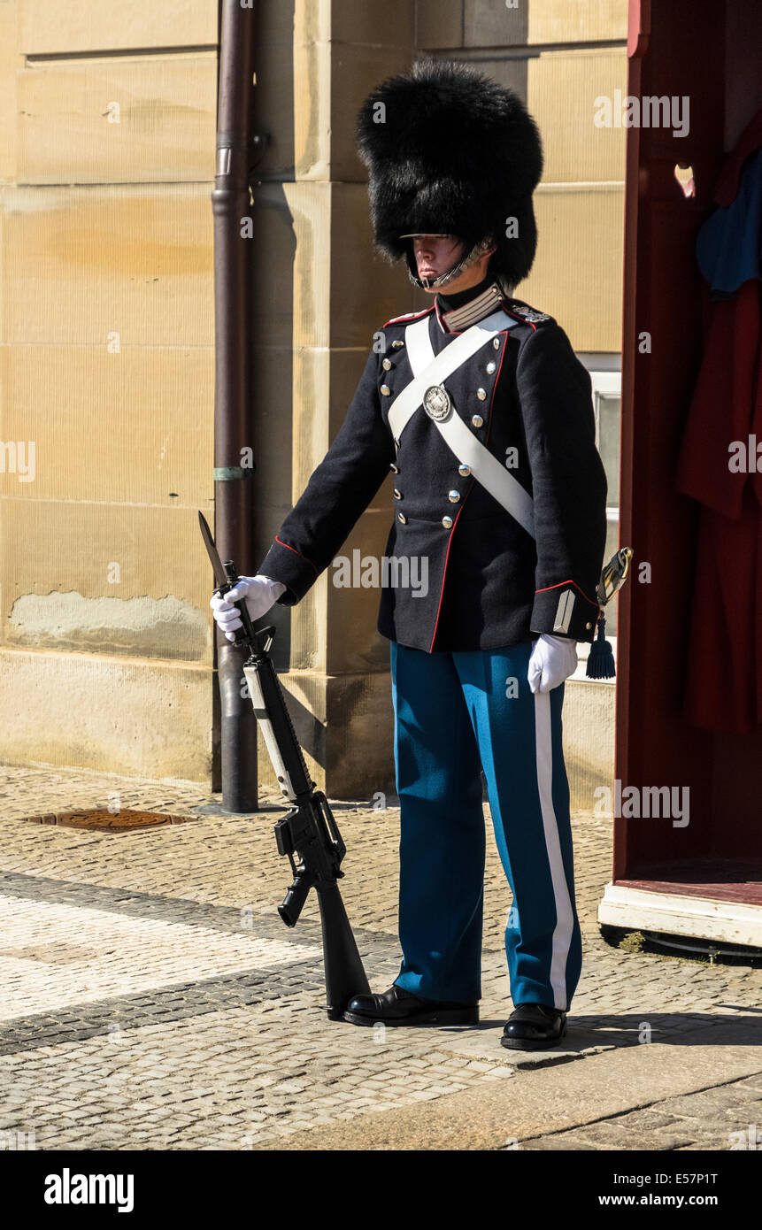 Royal guards at Amalienborg Palace, Copenhagen, Denmark Stock Photo