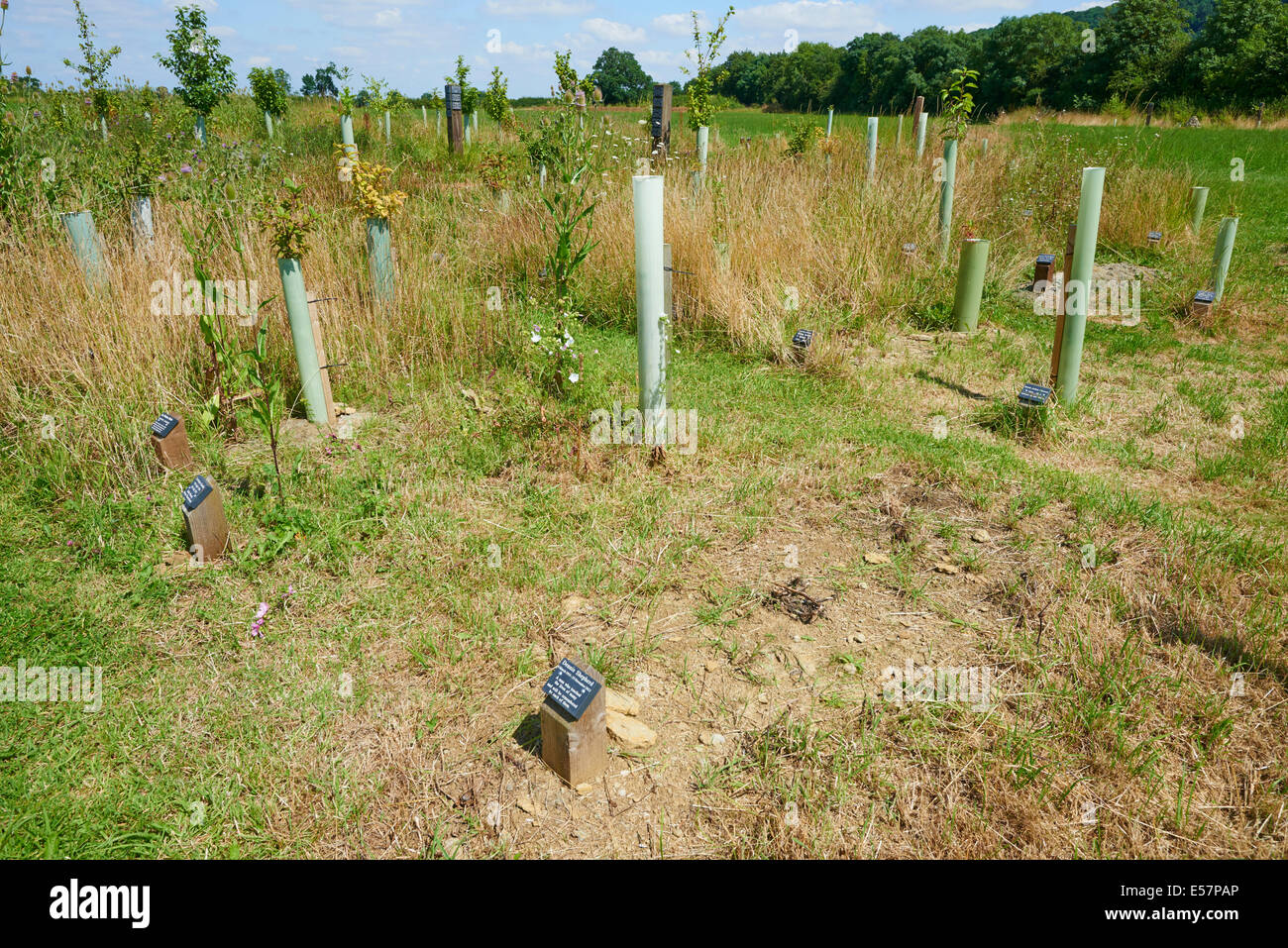 Natural burial ground hires stock photography and images Alamy
