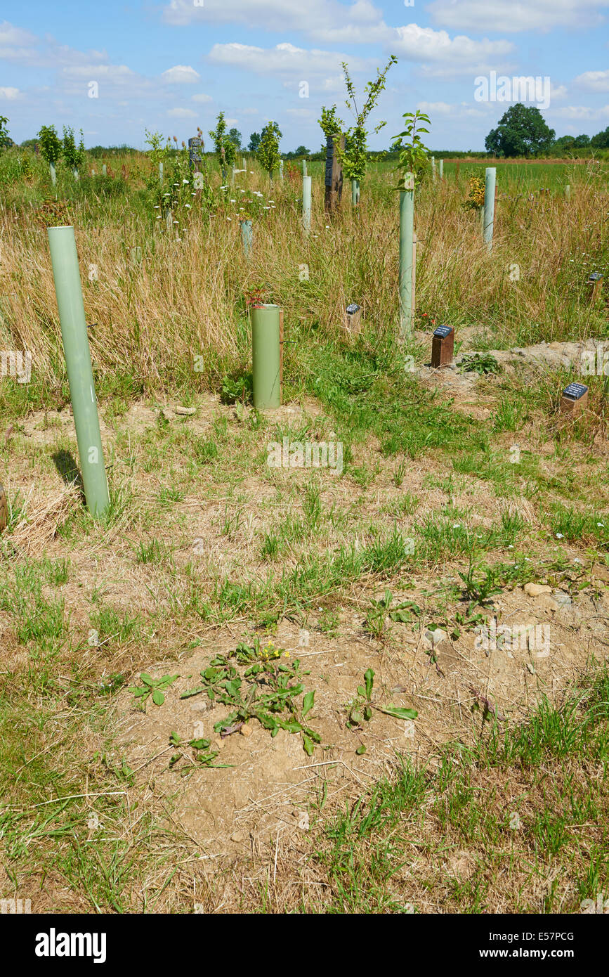 Graves At Sun Rising Natural Burial Ground and Nature Reserve in Tysoe