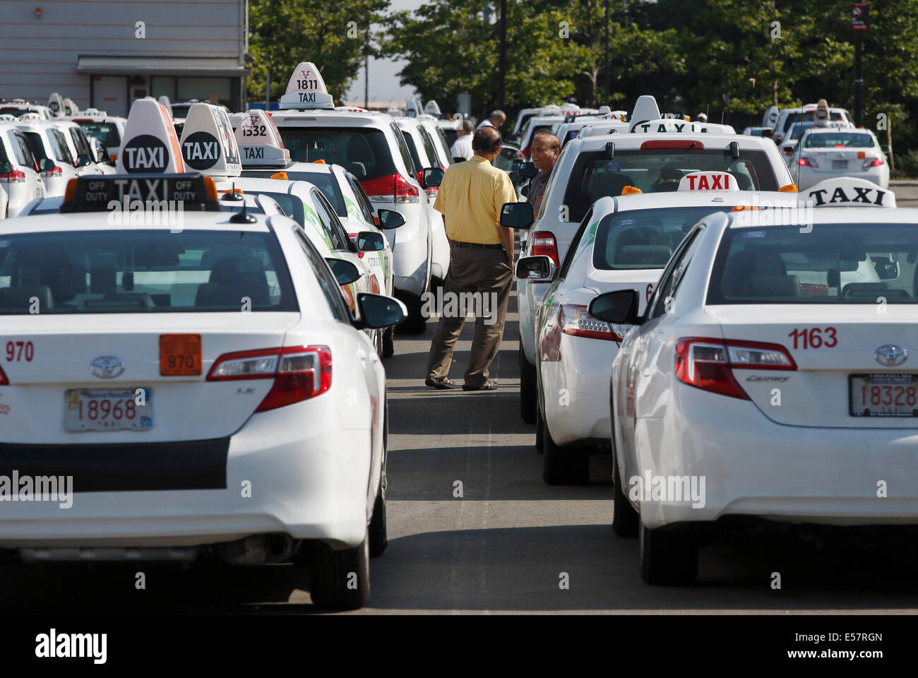 Taxi dispatch pool at Logan Airport, Boston, Massachusetts, USA Stock Photo