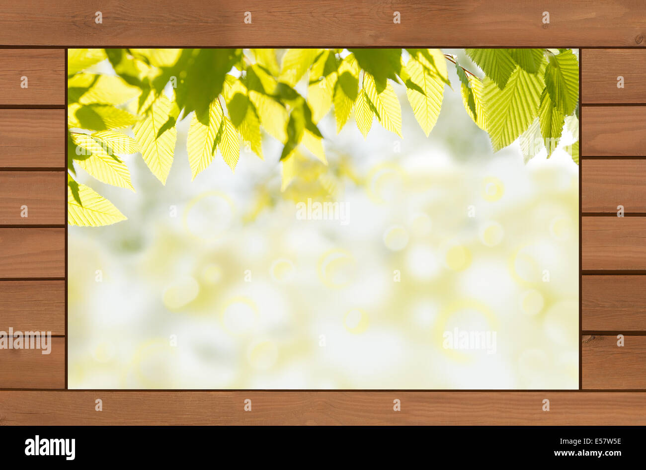 Spring boards hi-res stock photography and images - Alamy