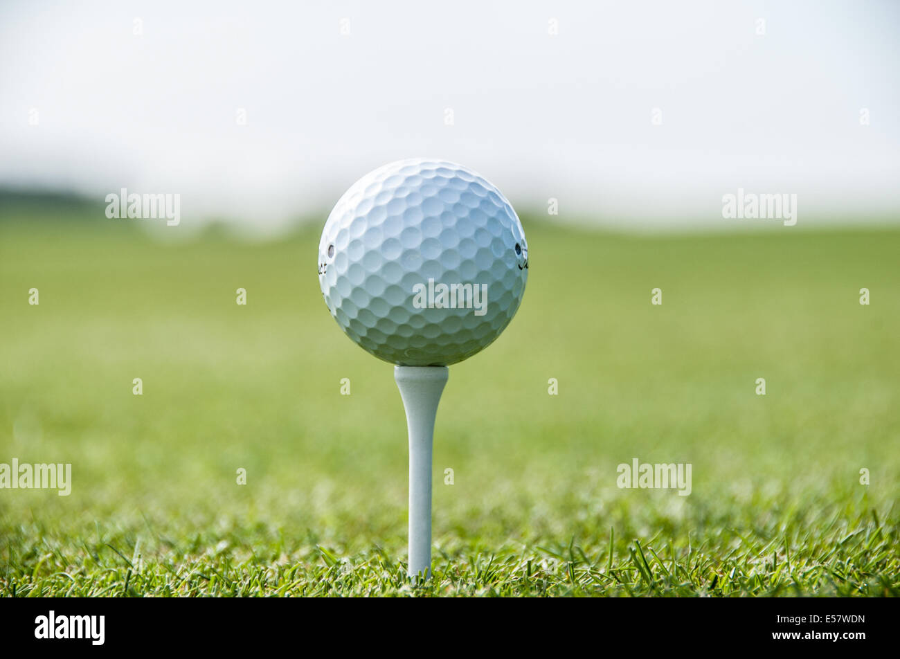 Close up of a golf ball teed up ready to hit down the fairway Stock Photo