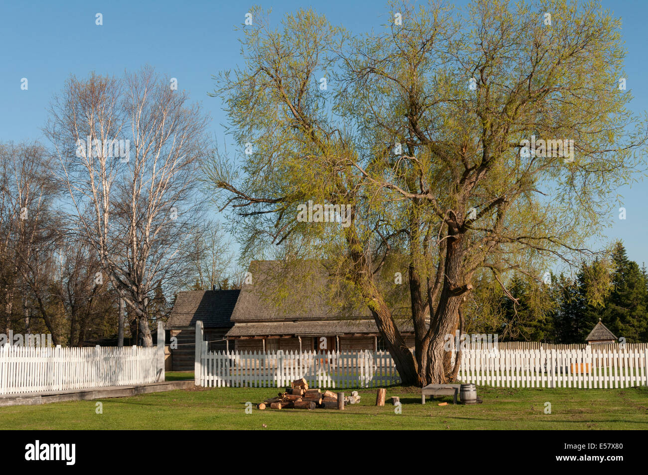 Elk2033470 Canada, British Columbia, Fort St James National Historic