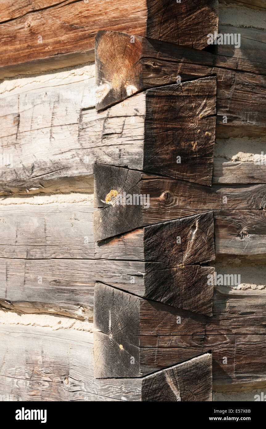 Elk2033479v Canada, British Columbia, Fort St James National Historic