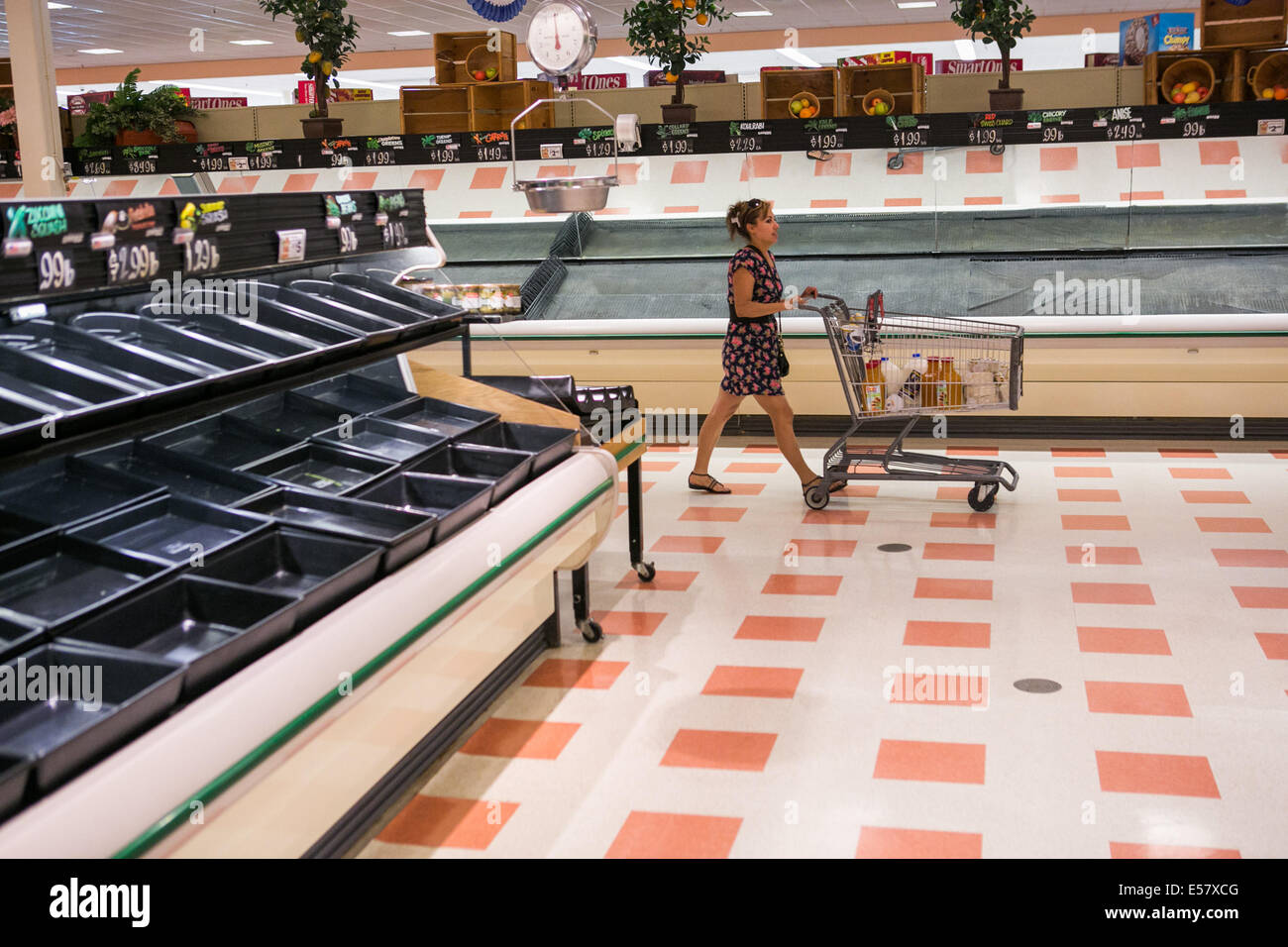 Chelsea, Massachusetts, USA. 22nd July, 2014. Produce shelves at the