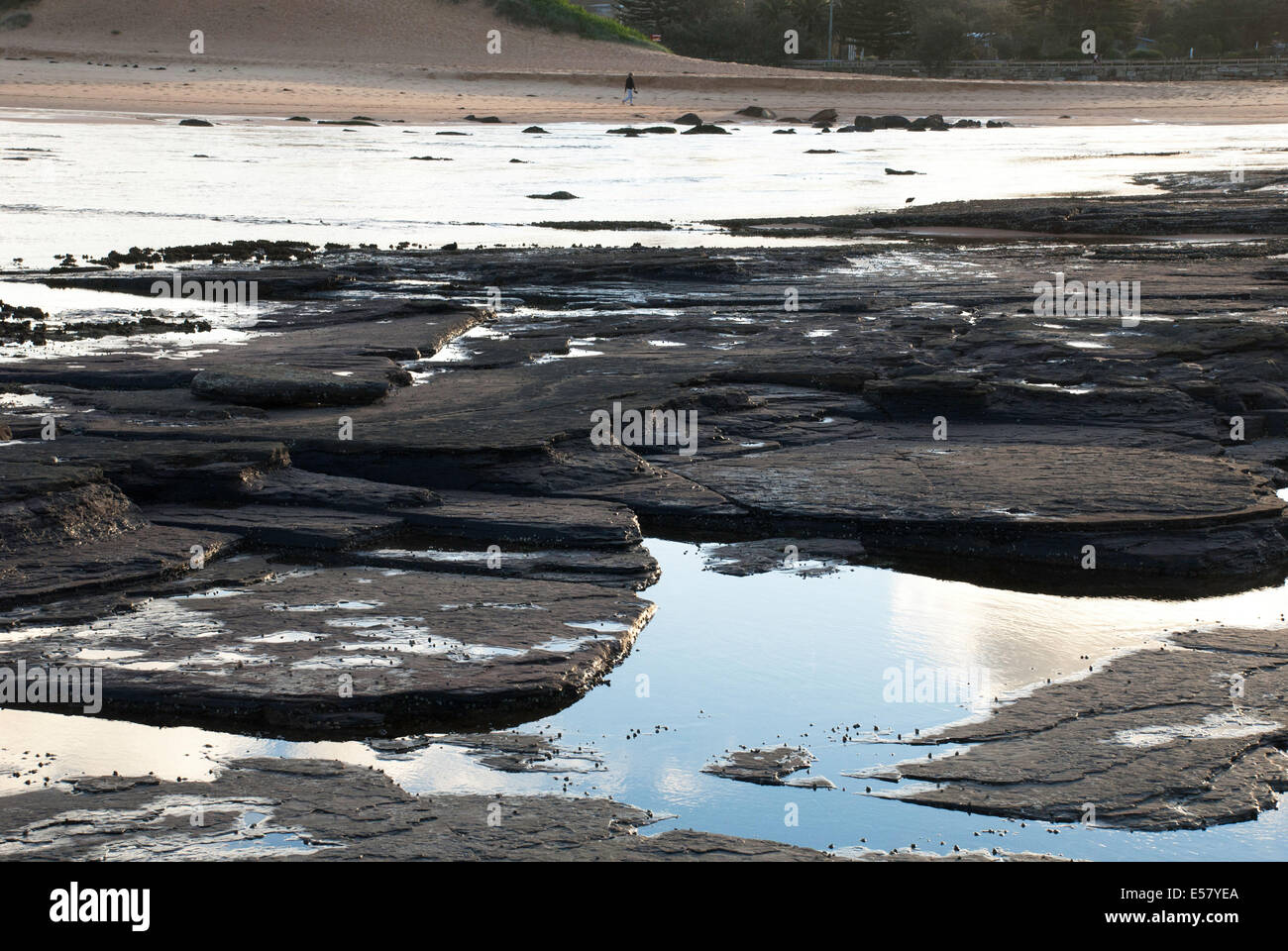 Low tide at North Narrabeen beach, with rocks exposed. Stock Photo