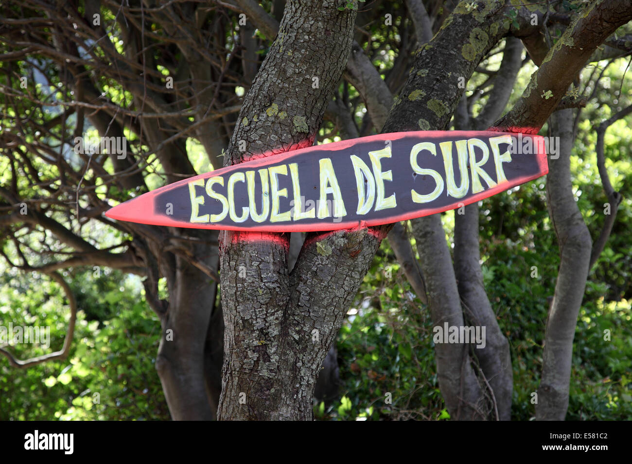 Escuela de surf - surfing school in spanish Stock Photo