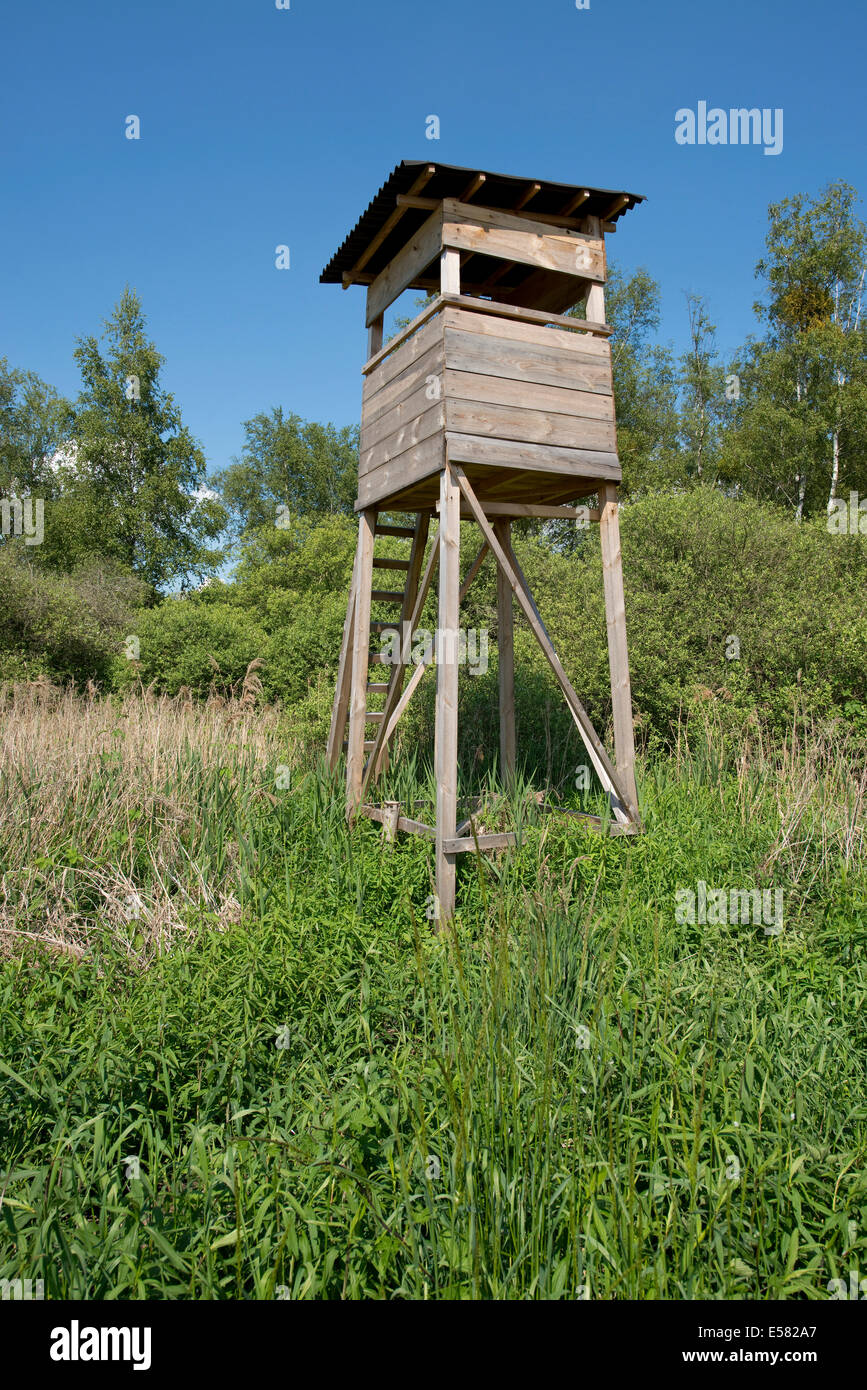 Raised hide, Lower Saxony, Germany Stock Photo