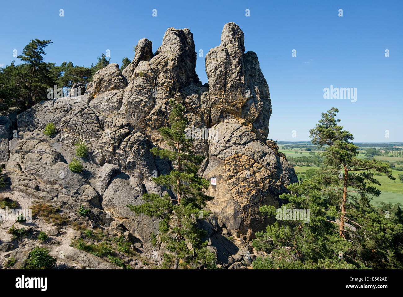 'Hamburger Wappen' sandstone formations, part of the Devil's Wall, Teufelsmauer, near Timmenrode, Harz, Saxony-Anhalt, Germany Stock Photo