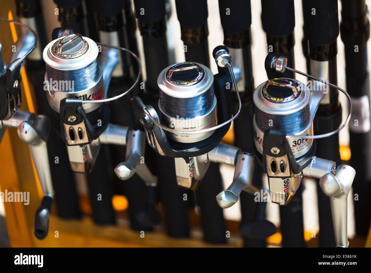 fishing rods lined up. Norfolk Broads. England UK Stock Photo