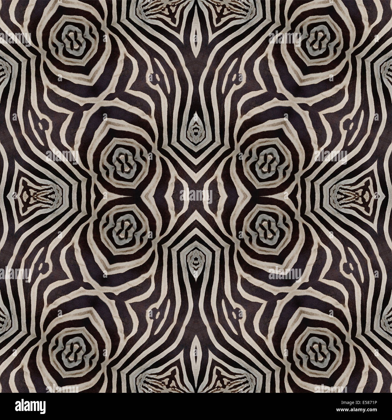 Seamless pattern made from skin of Common Zebra, Burchell's Zebra Stock ...