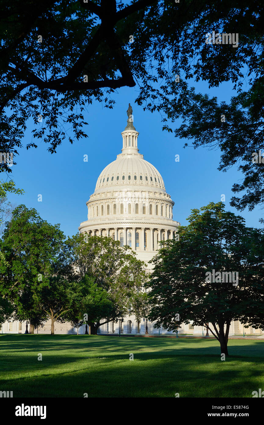 The United States Capitol Building, Washington D.C., USA Stock Photo