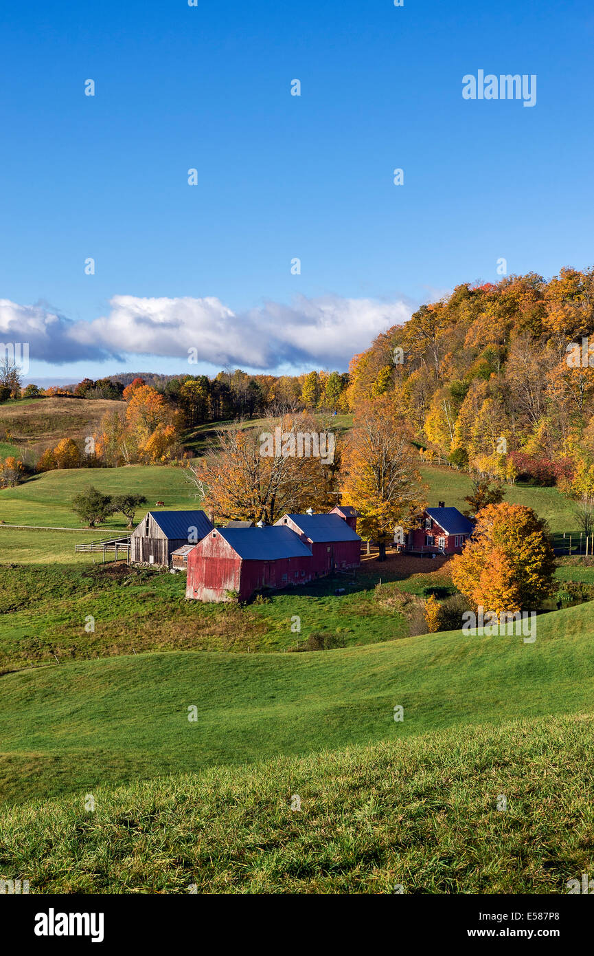 Colorful autumn farm, Reading, Vermont, USA Stock Photo