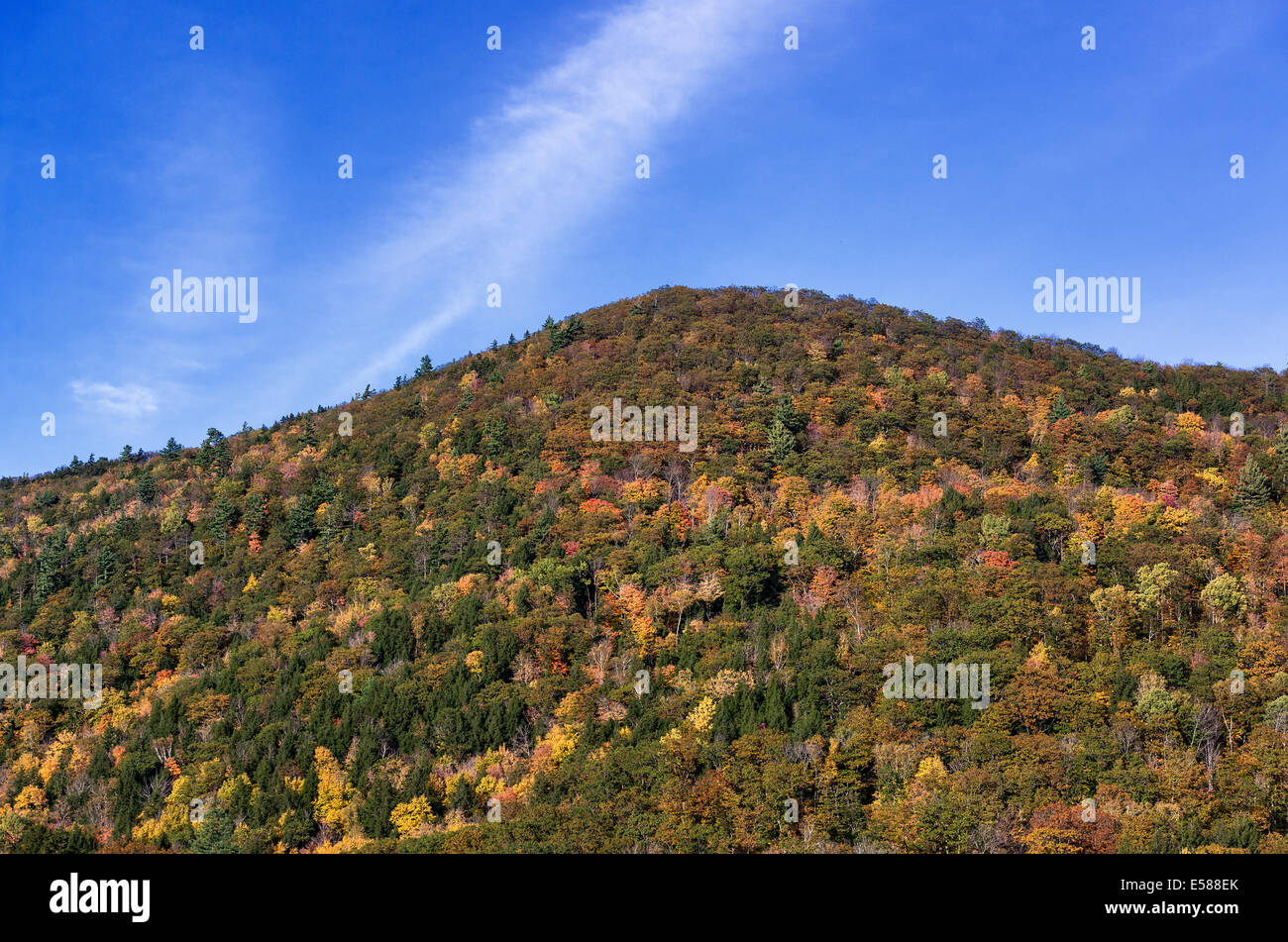 Colorful autumn trees on a mountainside, Vermont, USA Stock Photo