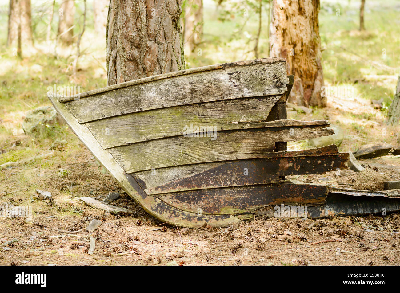 Old and weathered boat rotting away on dry land in pine forrest. Stock Photo
