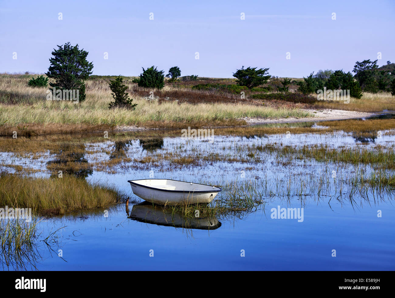 Dinghy anchored in shallow salt pond, Martha's Vineyard, Massachusetts, USA Stock Photo