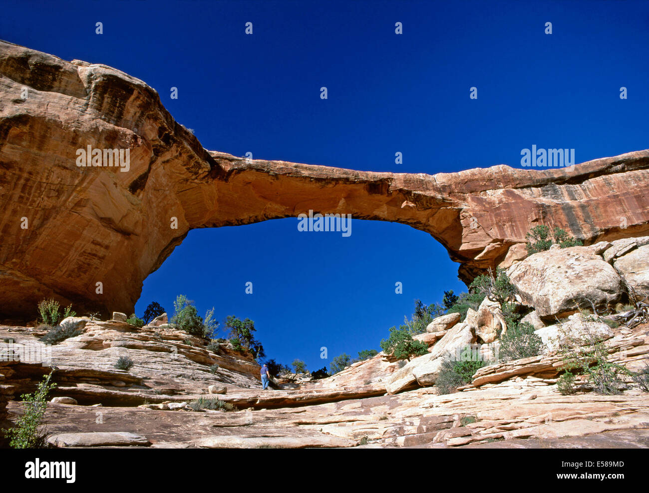 Owachomo Bridge,Natural Bridges National Monument,Utah Stock Photo - Alamy