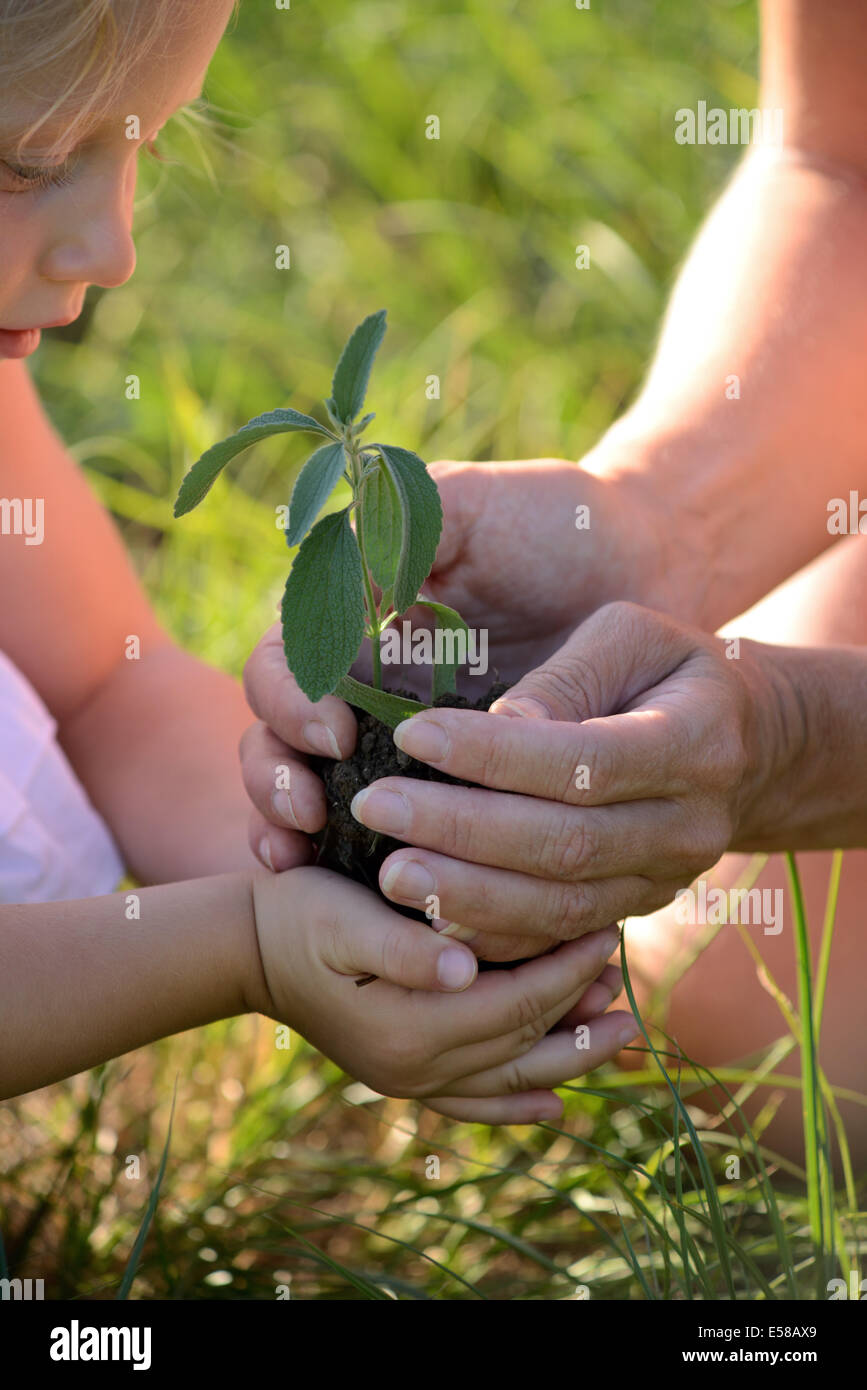 little girl and mother holding a plant together Stock Photo