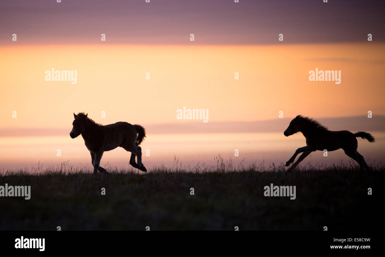 Exmoor sunset hi-res stock photography and images - Alamy
