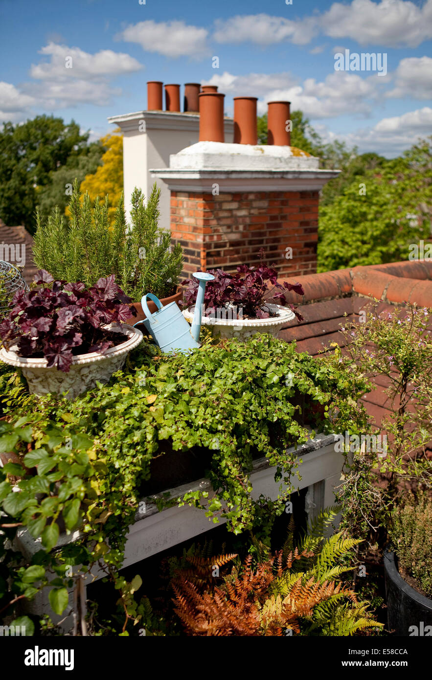 Rooftop garden in Primrose Hill, London, UK Stock Photo