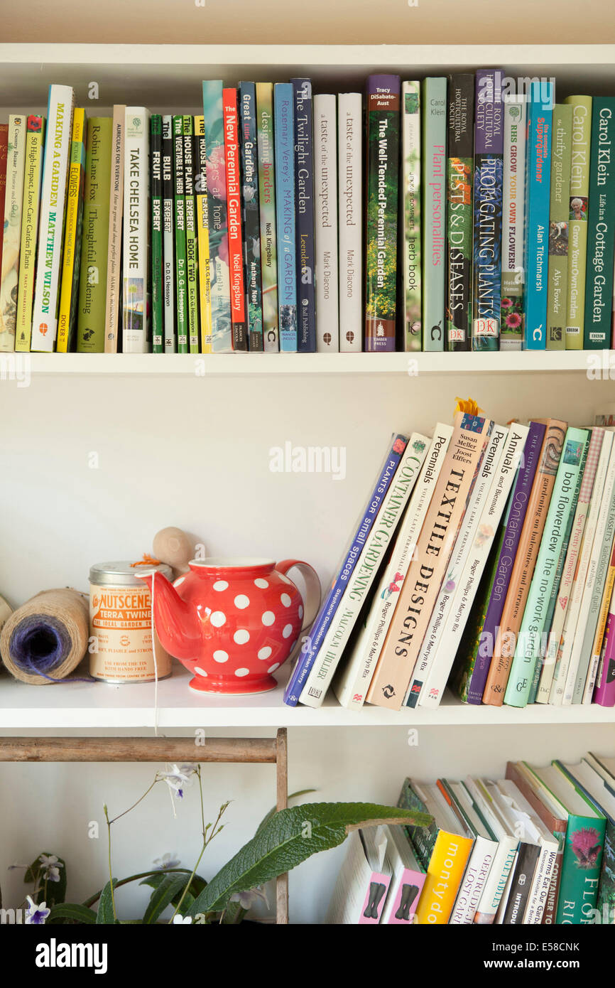 Bookcase in home of writer Laetitia Maklouf, London, UK Stock Photo