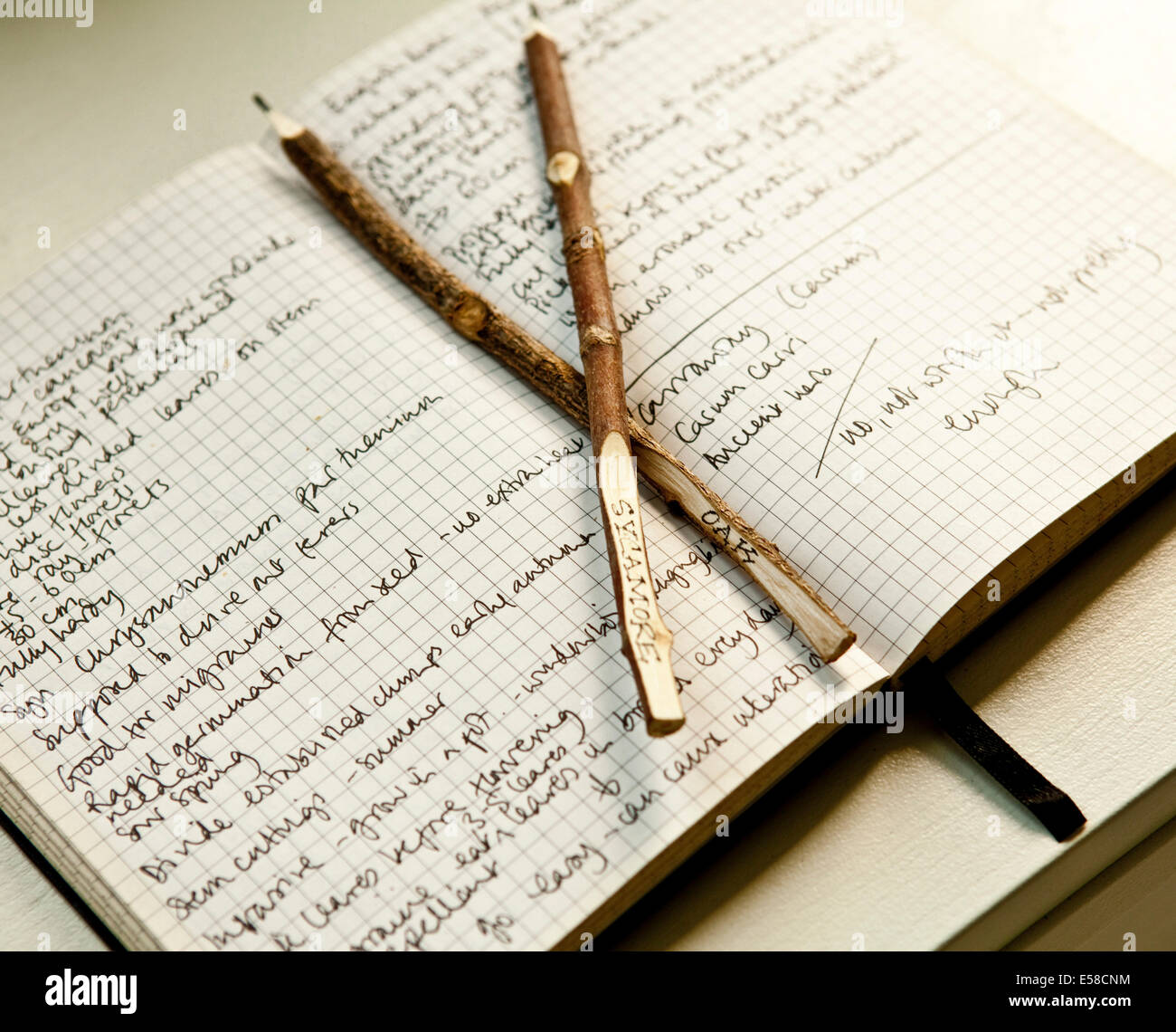 Open diary with handwriting and two wooden pencils in home of writer Laetitia Maklouf, London, UK Stock Photo