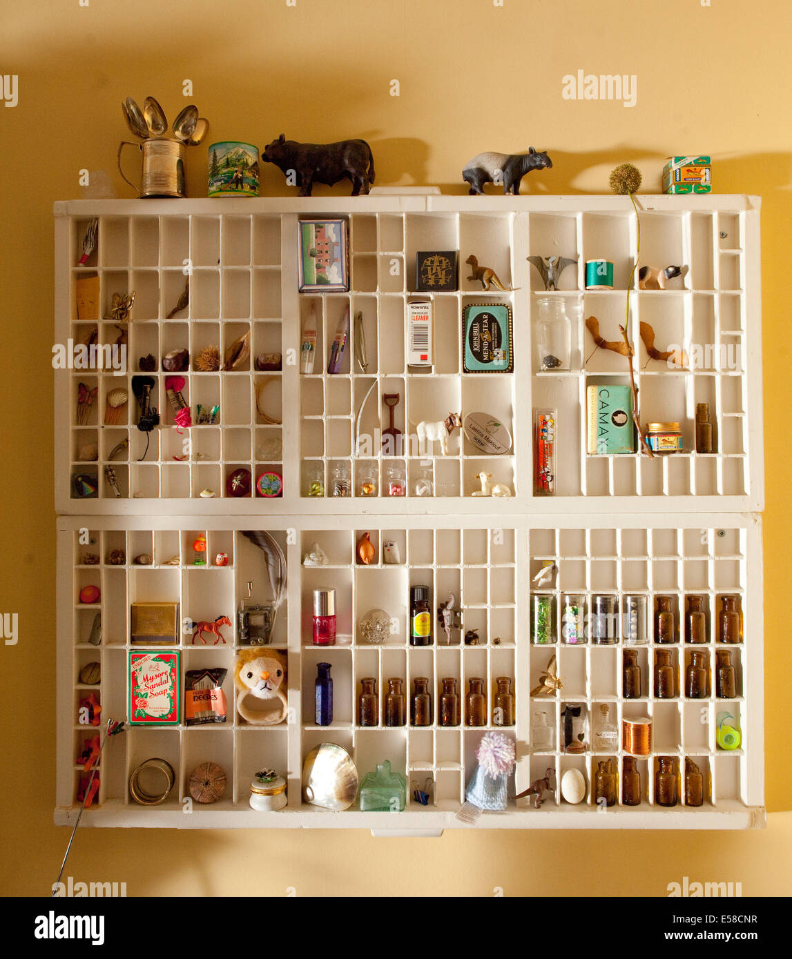 Wall mounted storage shelves in home of writer Laetitia Maklouf, London