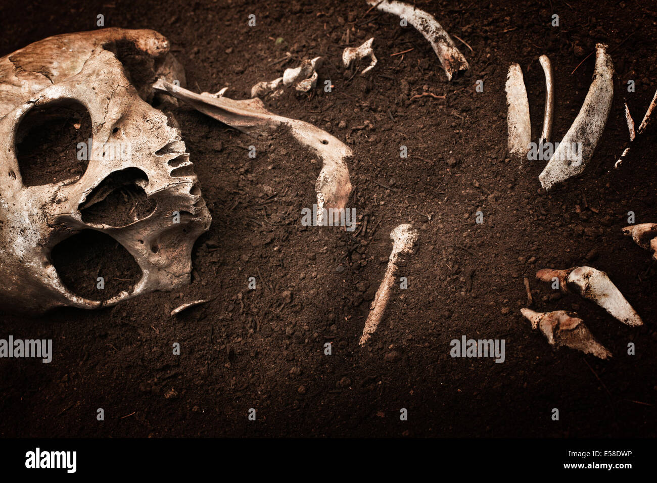 scene crime and buried bone Stock Photo