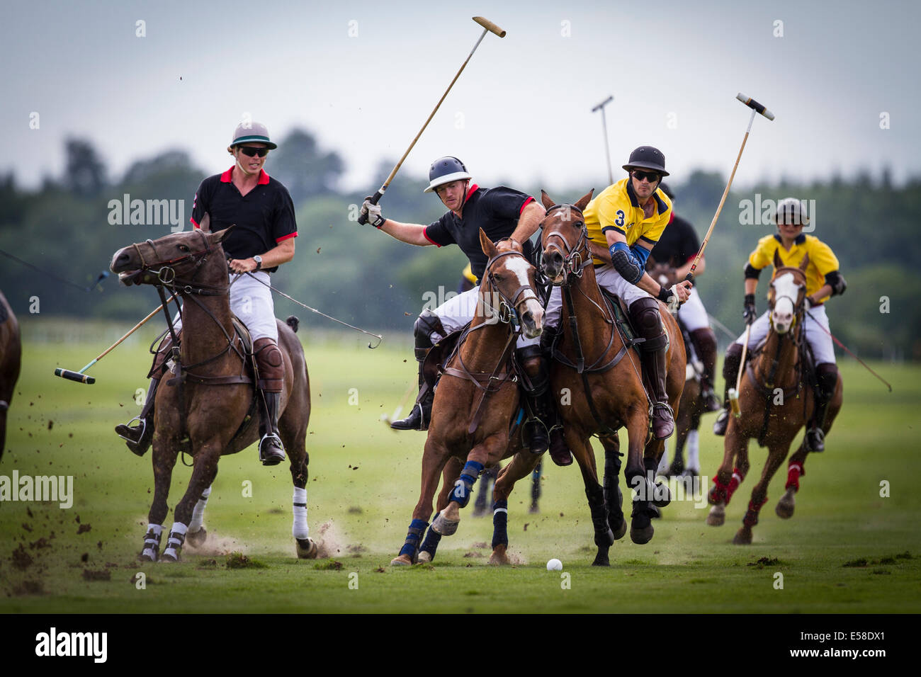 Derek Bratley competes with Nick Pepper to gain control of the ball during a hard faught polo game at Cowdray Park. Stock Photo