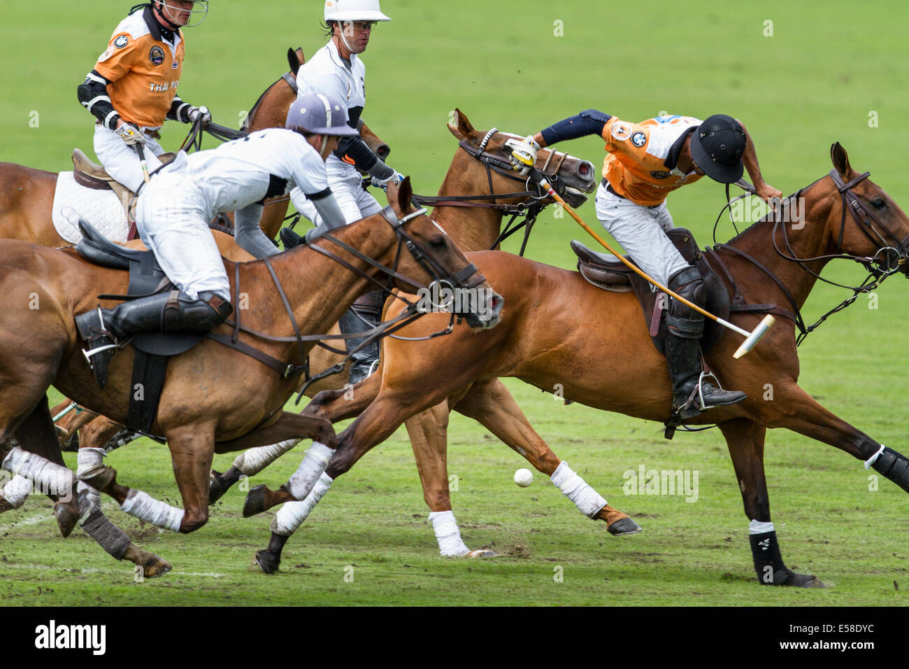 Polo riders hi-res stock photography and images - Alamy