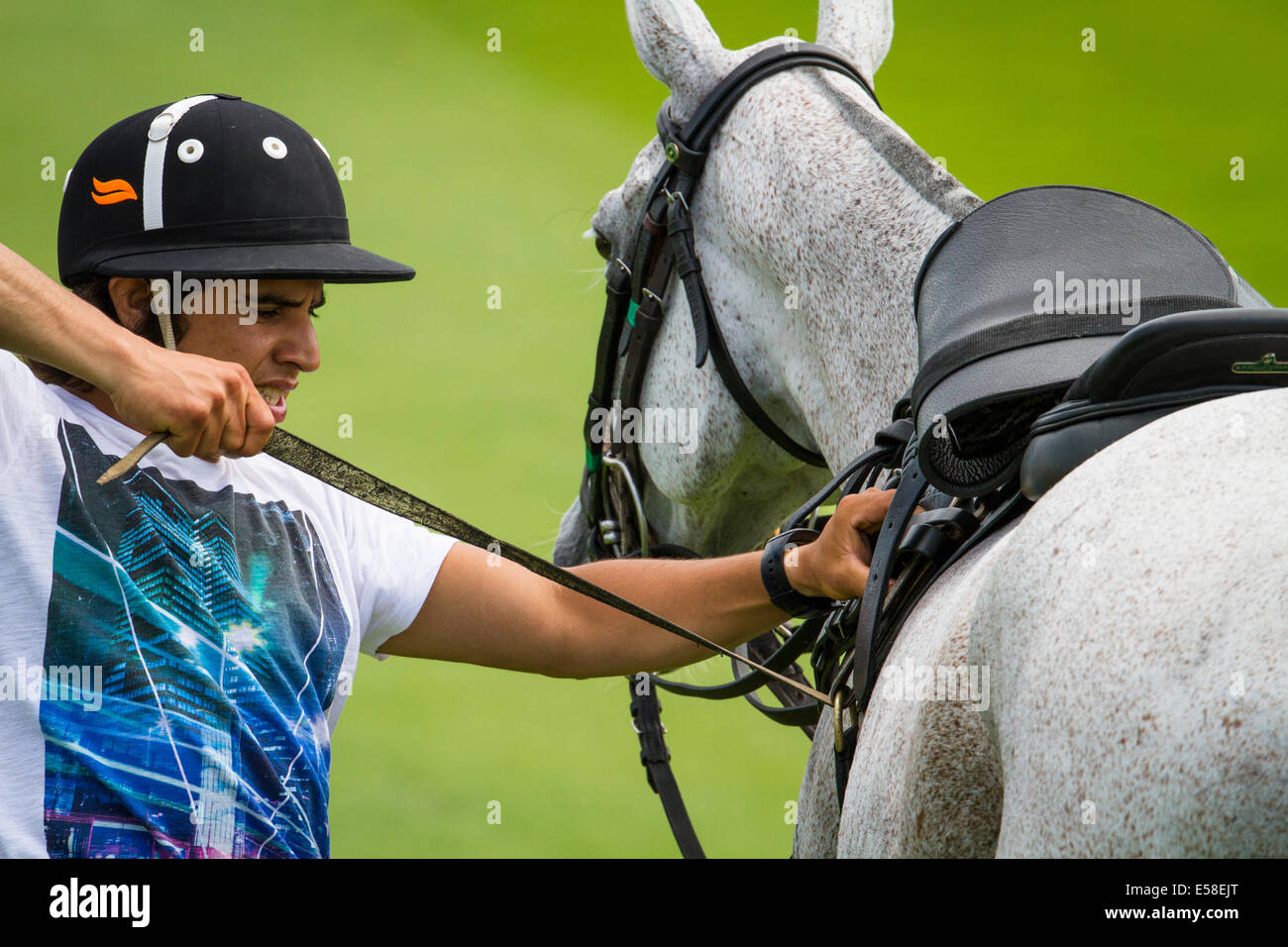 A polo groom adjusts a saddle on a polo pony Stock Photo Alamy