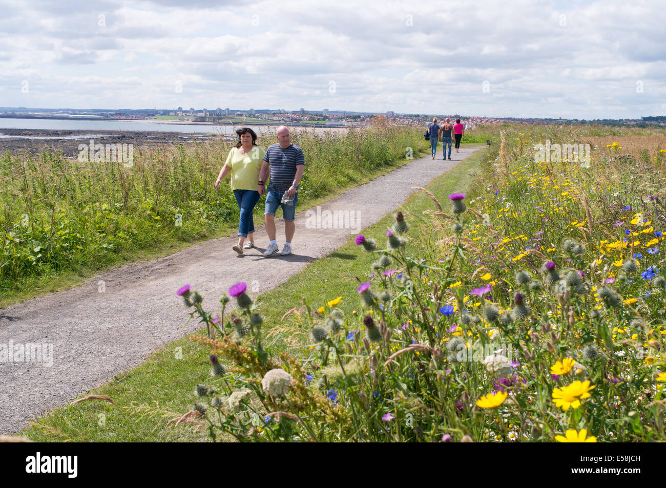 Couple walking along the North Sea coast path past wildflowers at Whitburn north east England, UK Stock Photo