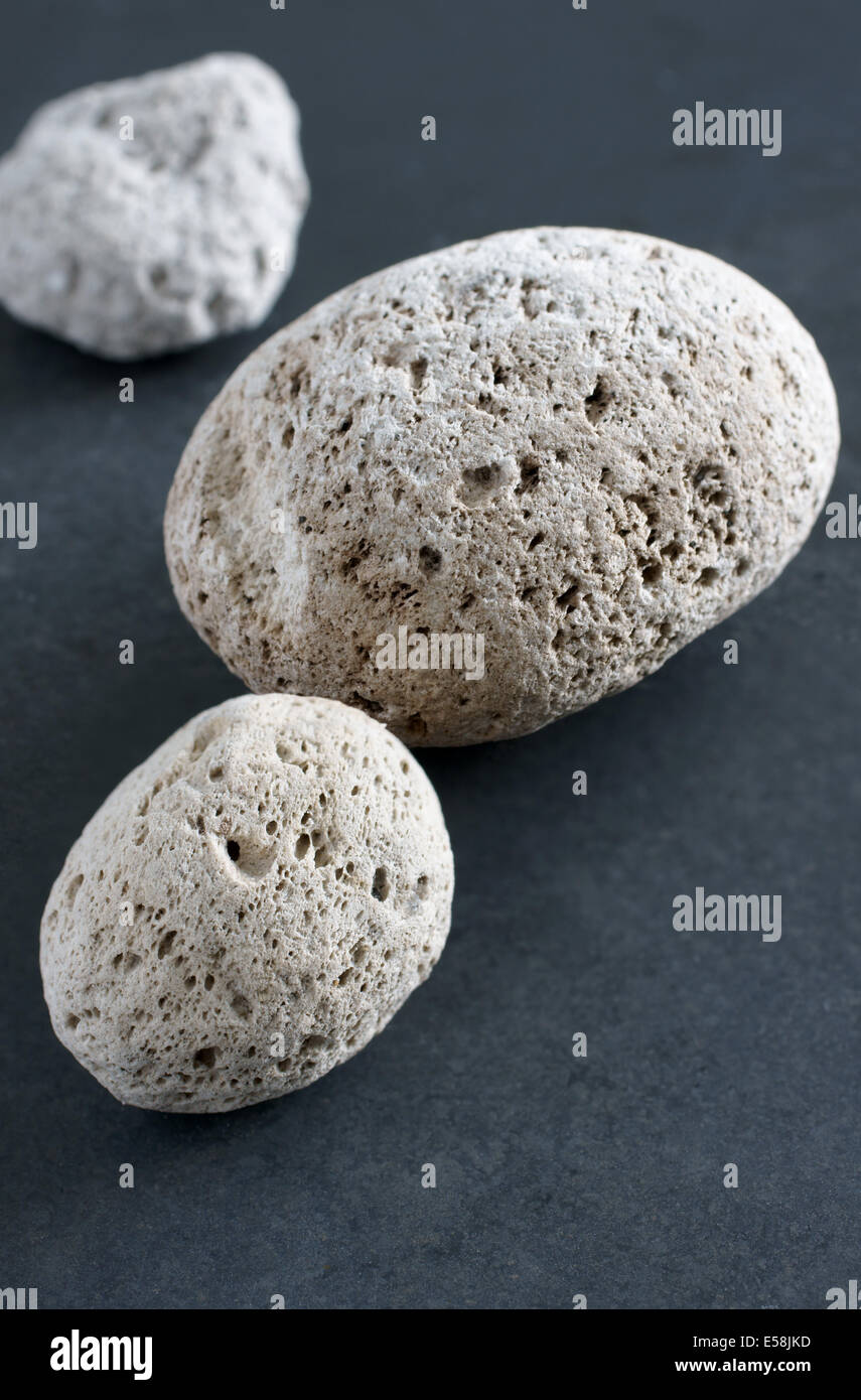 Volcanic pumice in close up. This sample is from the Taupo area of New