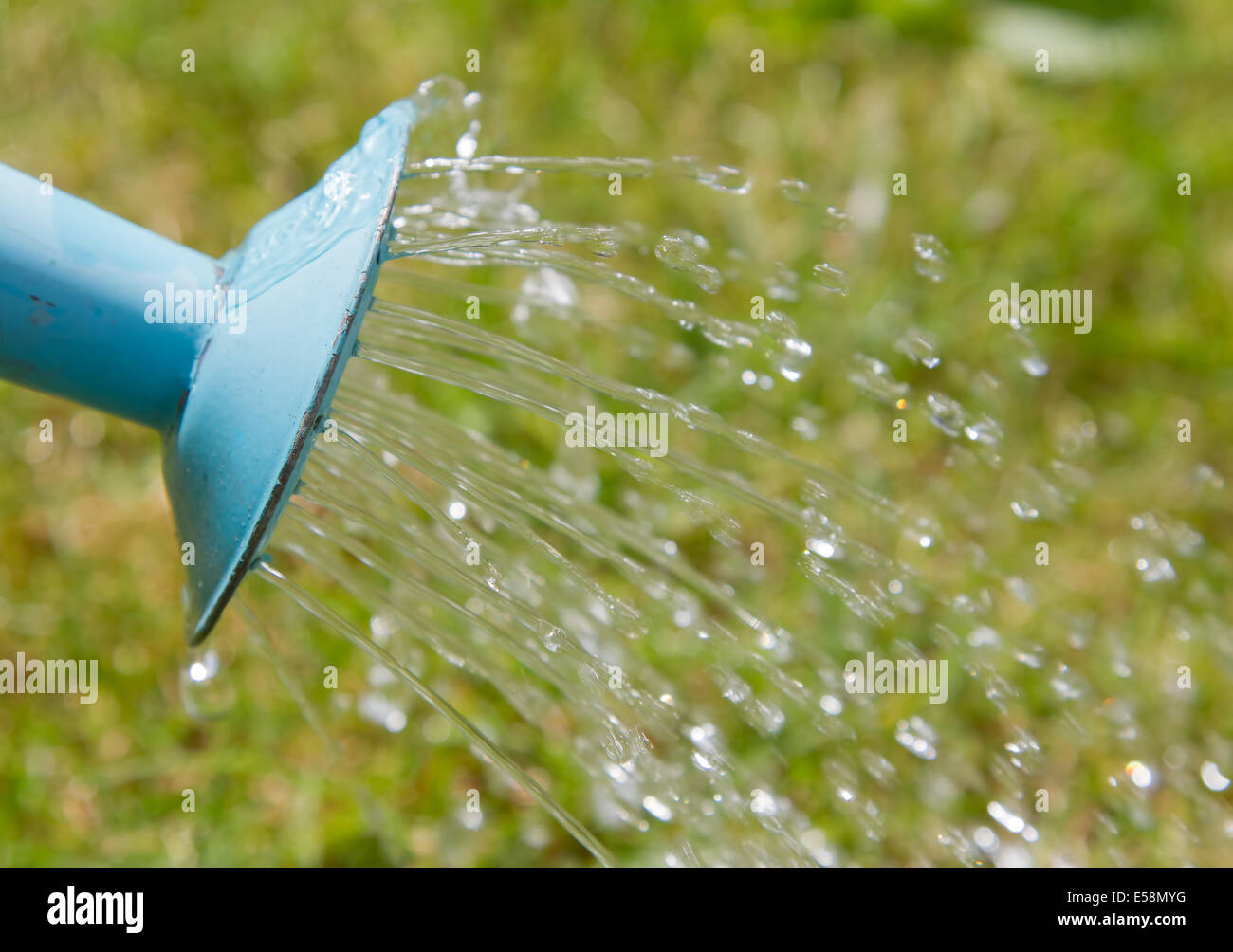 Water pouring from a blue watering can Stock Photo