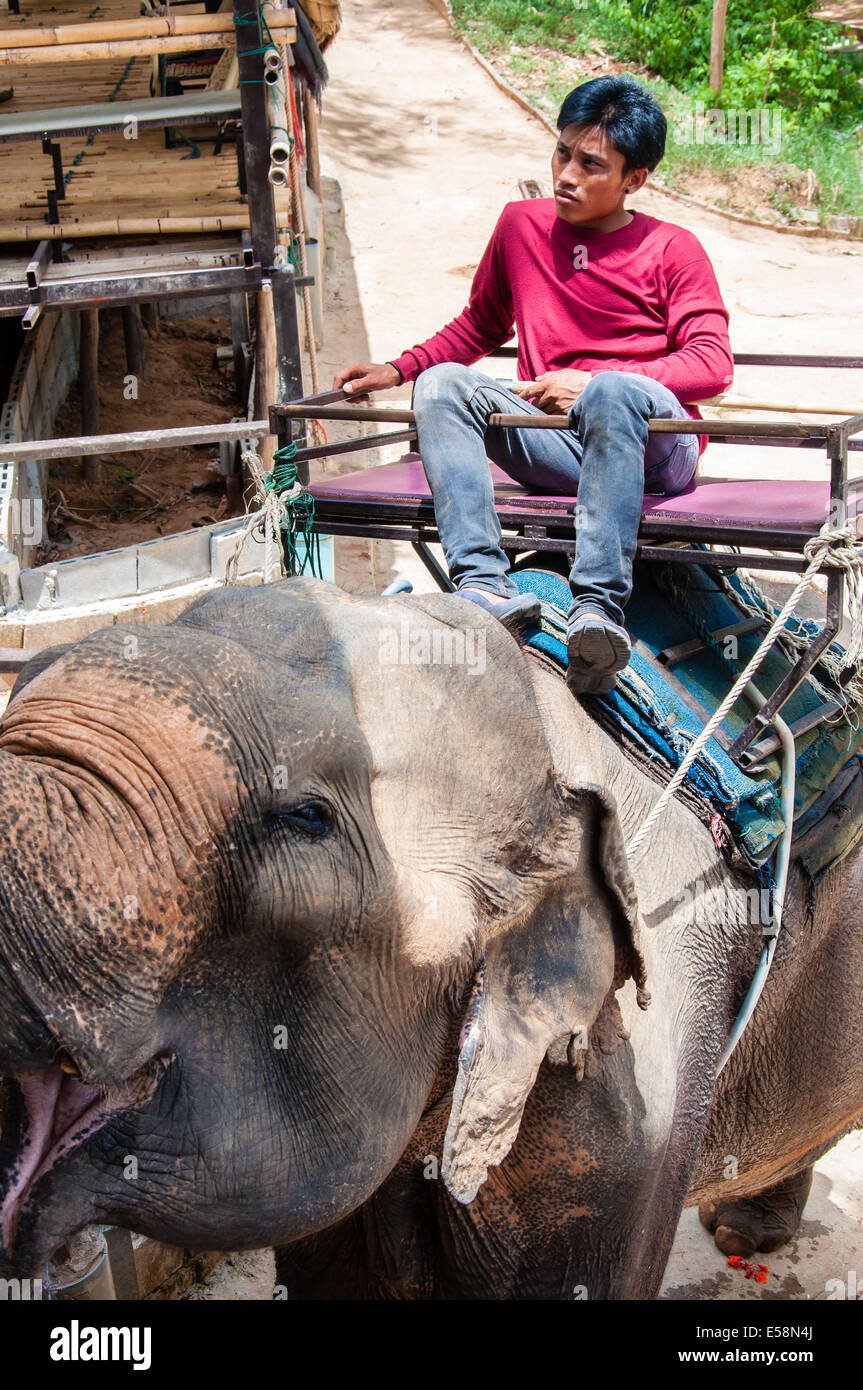 Mahout and his elephant waiting to start the tours with tourists on May ...