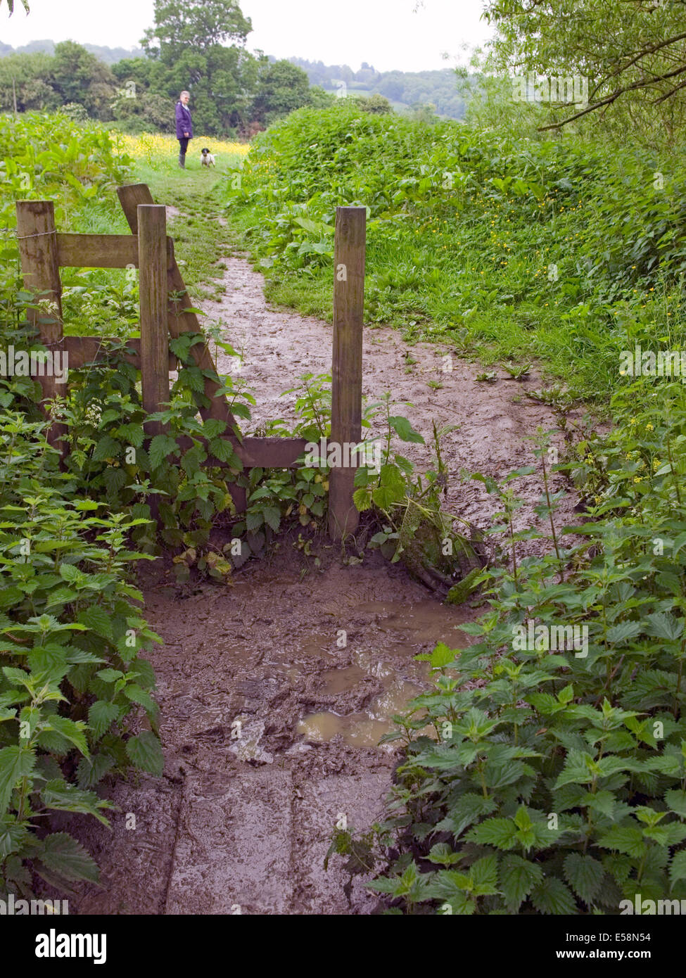Muddy footpath hires stock photography and images Alamy