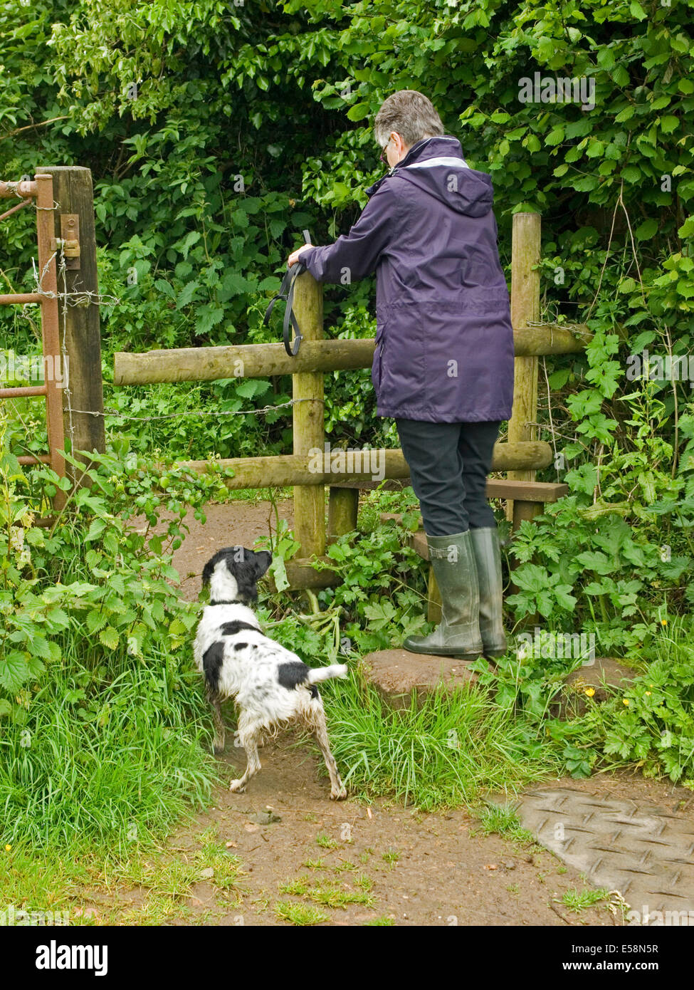 Walker and her dog crossing a stile Stock Photo