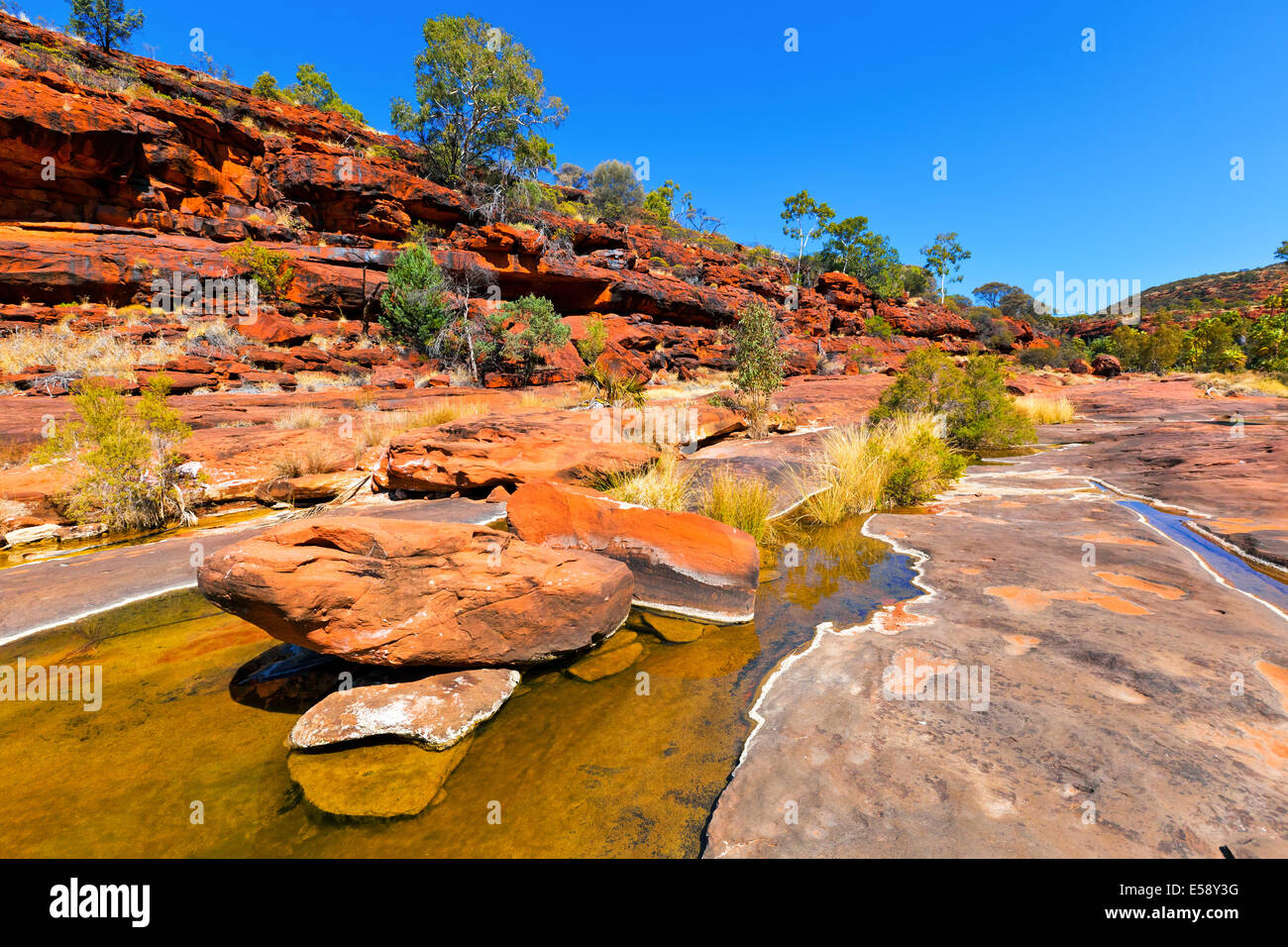 Palm Valley Central Australia Northern Territory Stock Photo