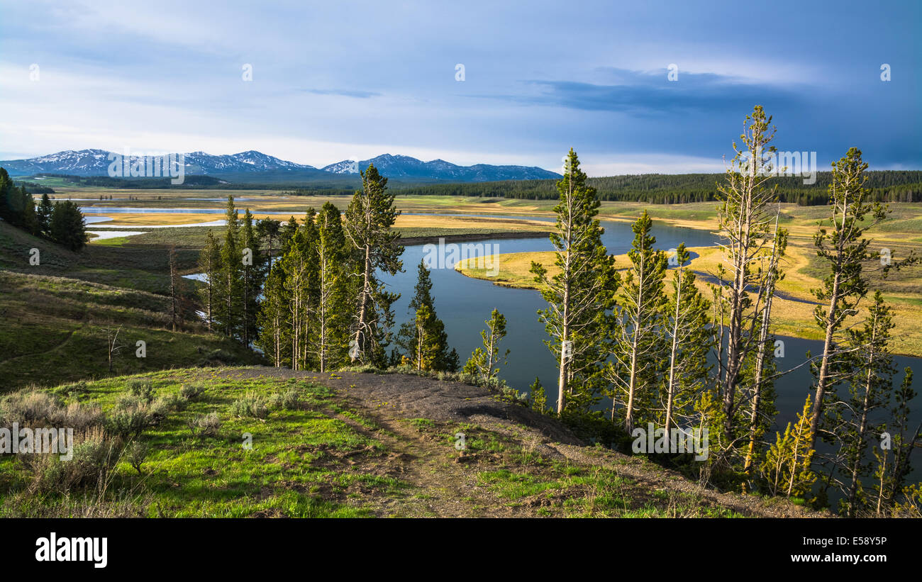 Hayden River in the Hayden Valley at Yellowstone National Park Stock
