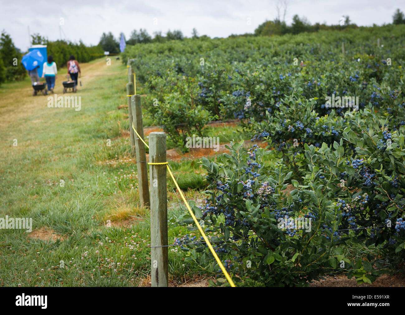 The Record Delta High Resolution Stock Photography and Images Alamy