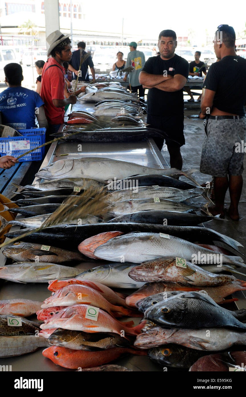 Travelling through Samoa in February 2014. Fish market in Apia Stock
